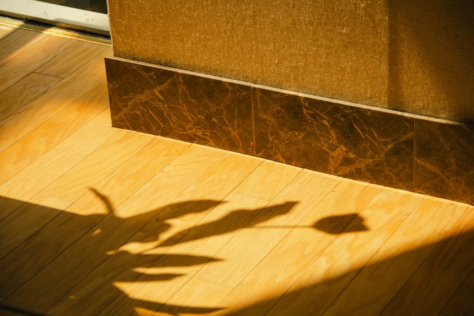 Tulip and leaf shadows on a sunlit wooden floor